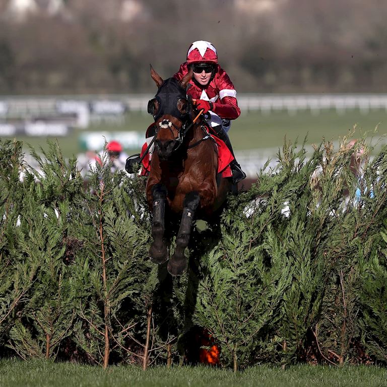 Tiger Roll _ Cheltenham Blog (1) (1).jpg