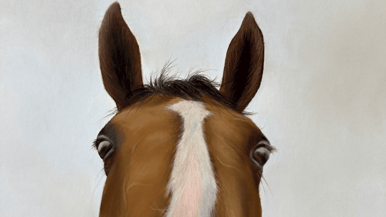 WIN AN ORIGINAL PAINTING OF FAUGHEEN 
