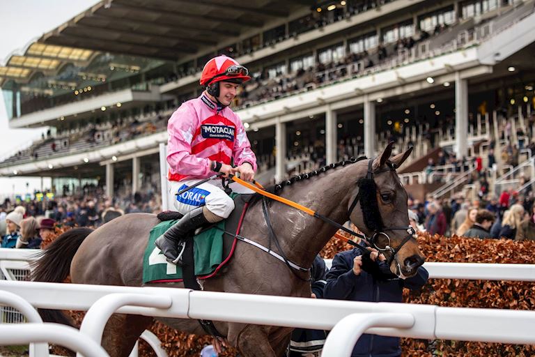 Cheltenham December Meeting-174-min.jpg