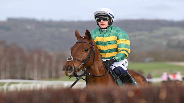 Festival Trials Day