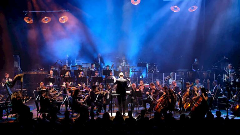 The Studio Orchestra