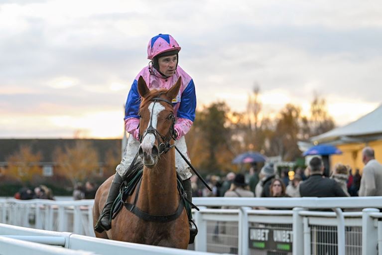 British Jumps Horses To Follow 25/26