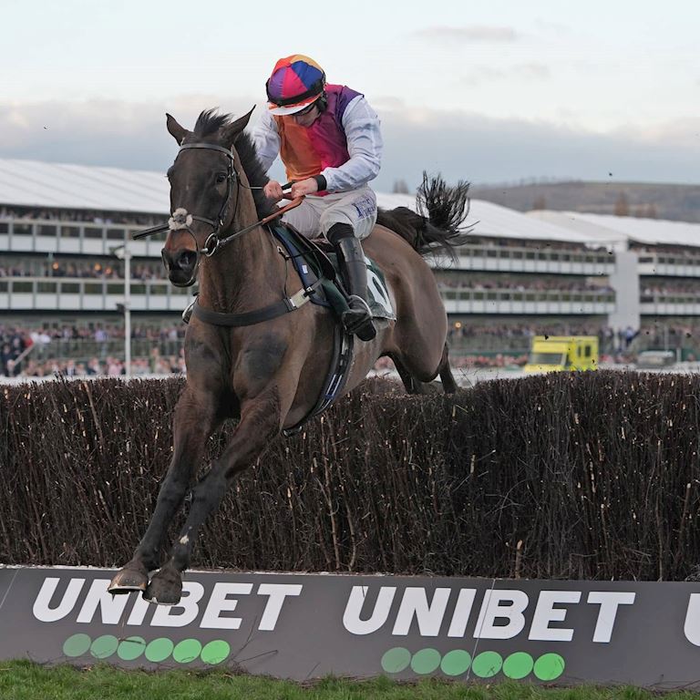 20250311_7_Haiti_Couleurs_1 (1).jpg