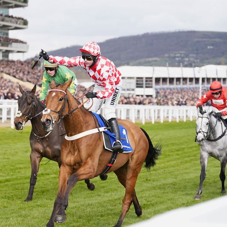 _DSC6927_Jango_Baie (1).jpg