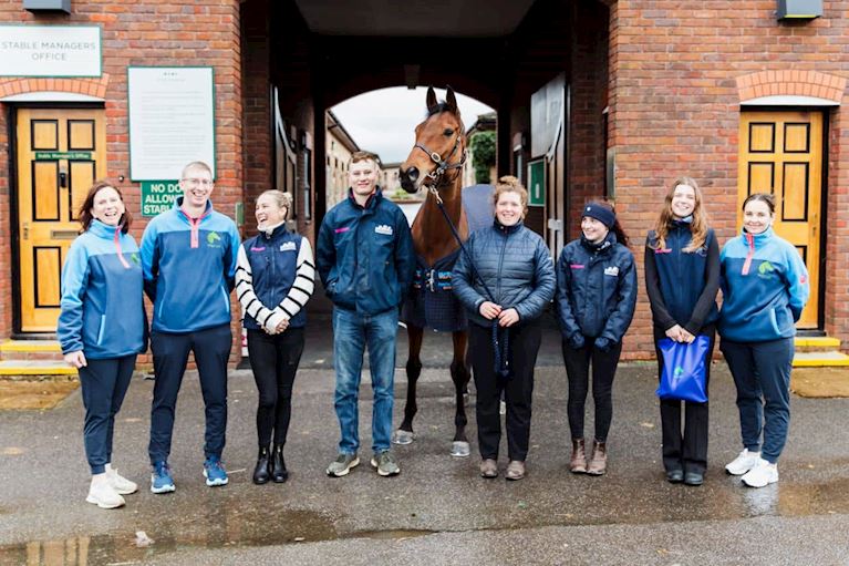 Equine Welfare Education Programme