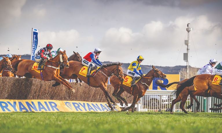 Racehorse Performance in numbers