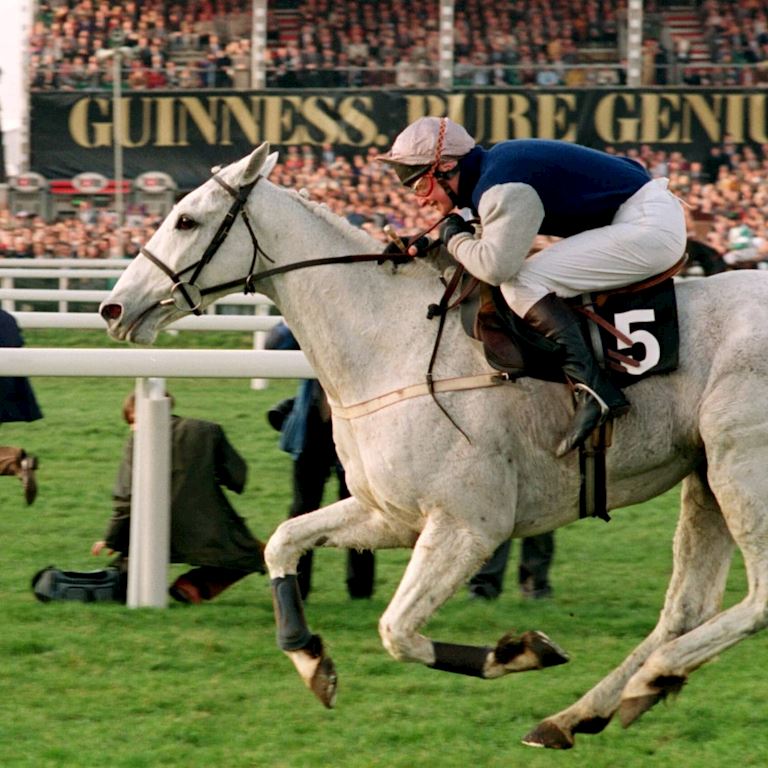 Desert Orchid (1).jpg
