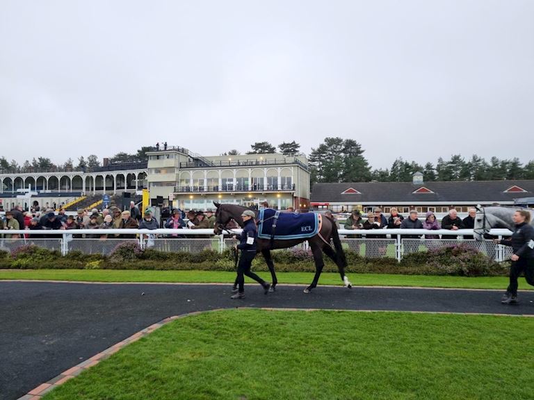 FoF Ludlow Parade Ring.jpg