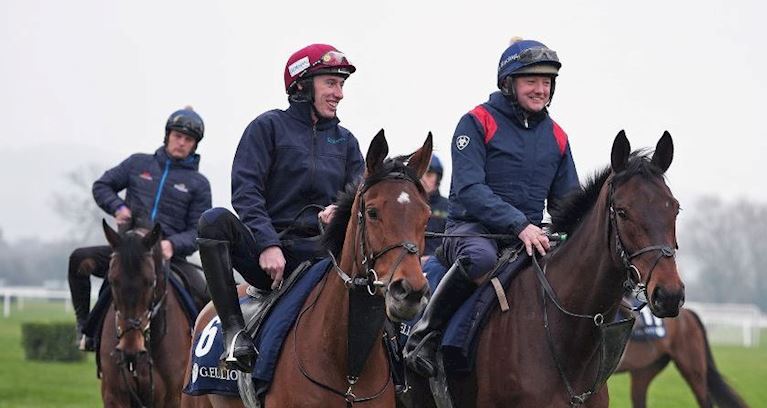 Stable & Racing Staff Information