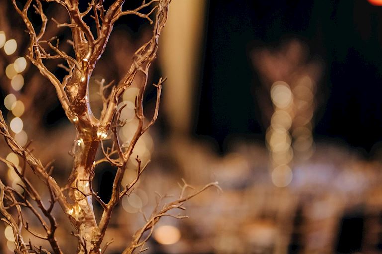 Gold painted mini trees as Christmas table centre pieces