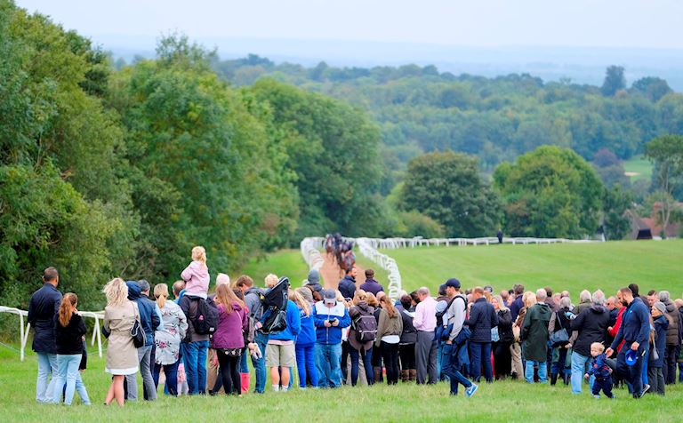 Epsom Gallops Trainers Open Morning.jpg