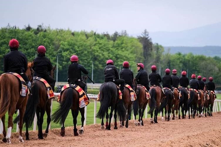 Aidan OBrien String at Ballydoyle.jpg