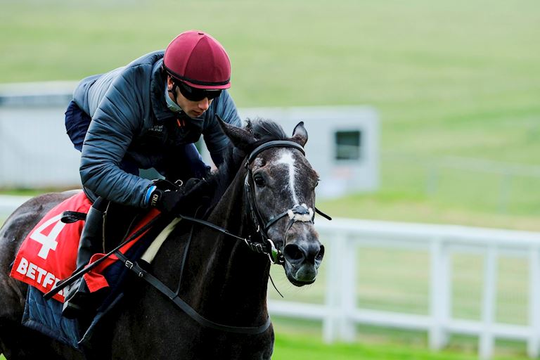 OISIN MURPHY EXCITED ABOUT CLASSIC CHANCES ON RUNNING LION AND THE FOXES