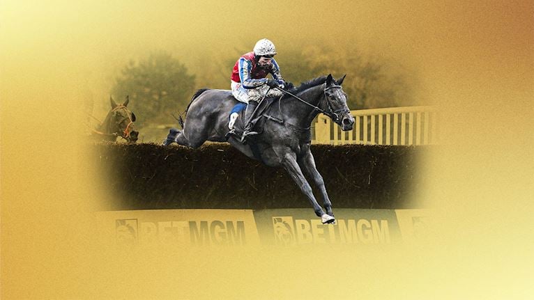 Haldon Gold Cup Day