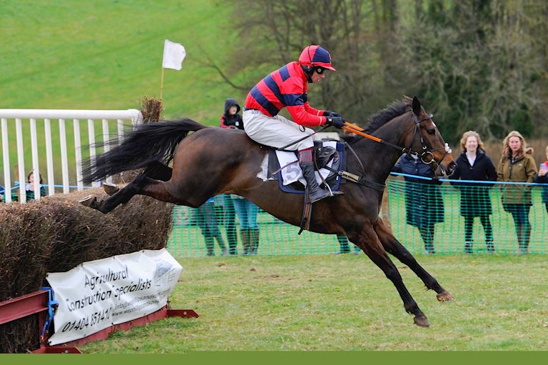 Mendip Farmers review