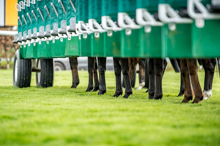 Race Sponsorship at Haydock Park