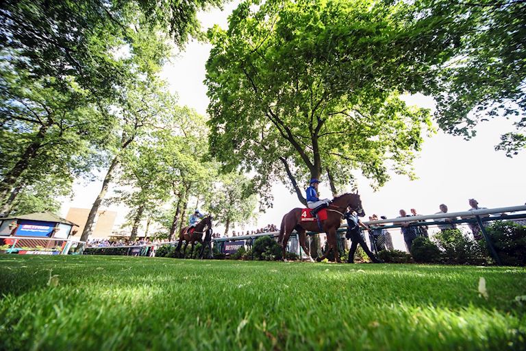Haydock Park Latest News