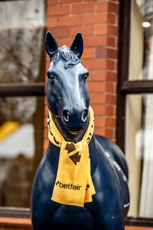 Haydock_Betfair_Chase_2019-1-min[1].jpg