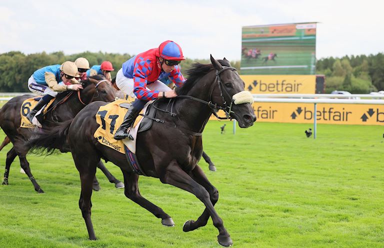 BIG MOJO AIMING TO BECOME ONLY SECOND DUAL WINNER OF NEXT MONTH’S BETFAIR SPRINT CUP