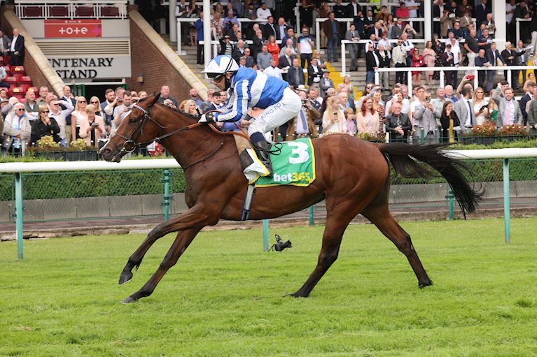 Glass Times Race Day