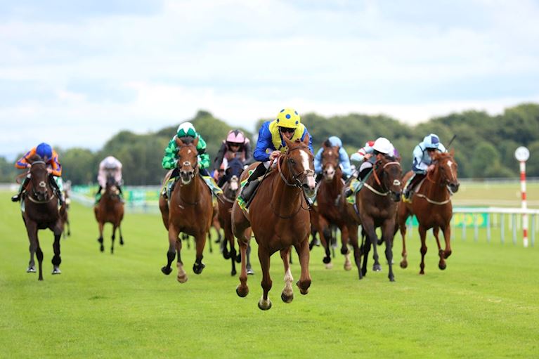 Haydock Park Racecourse | The Jockey Club