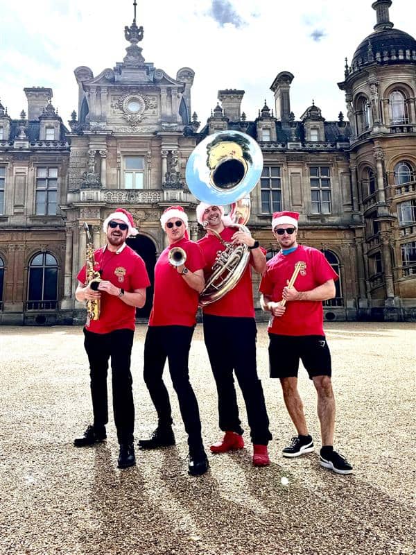 the stray horns (1).jpg