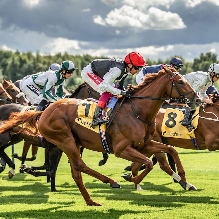 Betfred Tommy Whittle Chase Day - 20 December