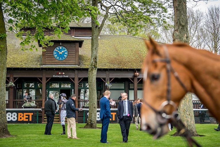 The Jockey Club Media Hub