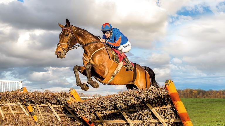 Betway Tommy Whittle Chase Day