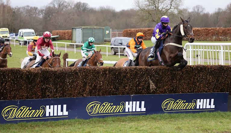 LORD DU MESNIL 117 Haydock (1).jpg