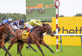 RYAN “REALLY PLEASED” WITH EMARAATY ANA AS HE BIDS TO BECOME ONLY THE SECOND HORSE TO WIN BETFAIR SP