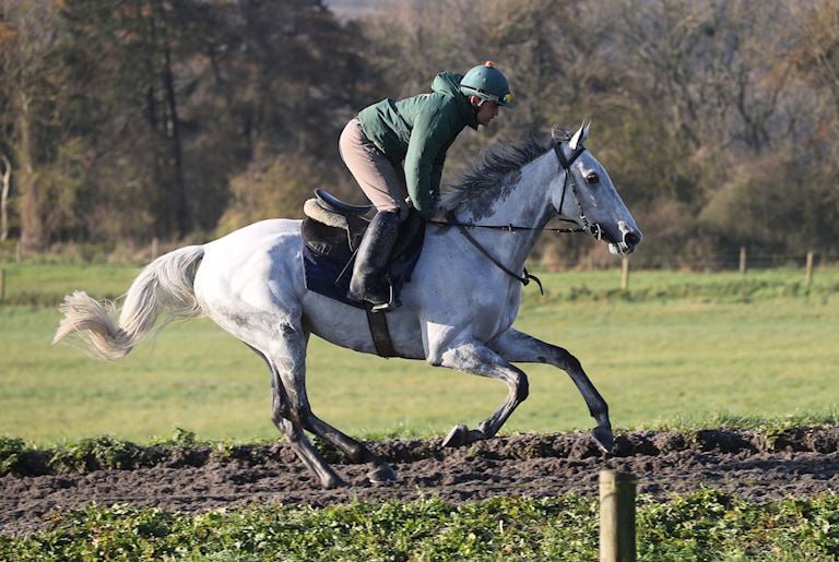 Bristol De Mai 102 on gallops.JPG