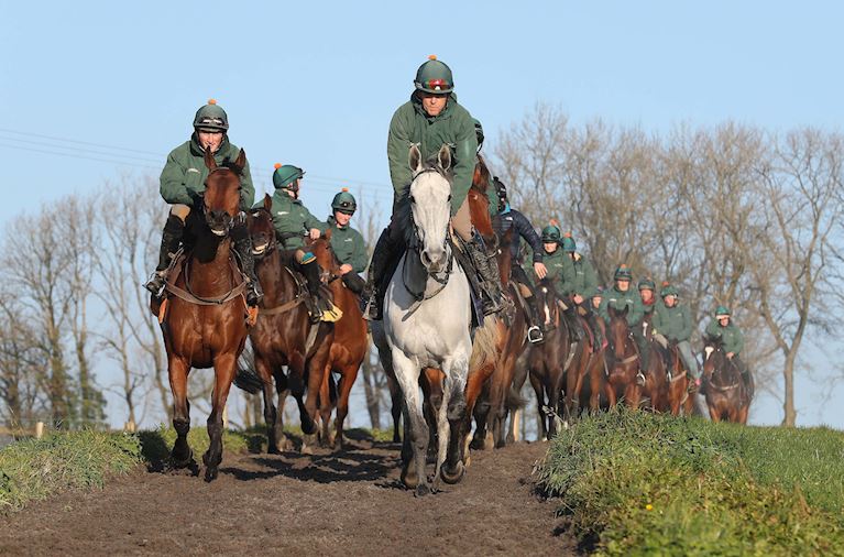 Bristol De Mai 103 on gallops.JPG