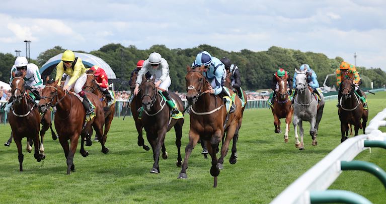 GET SHIRTY TIES UP bet365 OLD NEWTON CUP FOR O’MEARA TEAM 