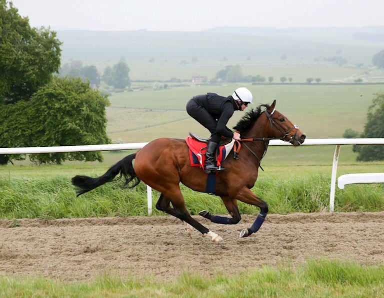 HAYDOCK_battaash_(1).jpg