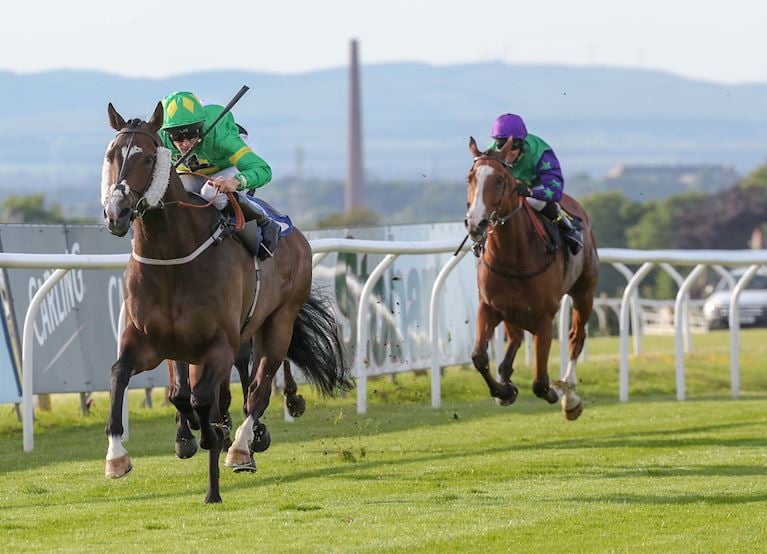 Kelly's Dino, the 2019 bet365 Old Newton Cup champion, could be Ebor bound.