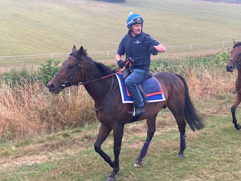BURROWS HOPES MINZAAL CAN STRIKE GOLD IN SATURDAY’S BETFAIR SPRINT CUP TOGETHER WITH EVERTON SECURIN