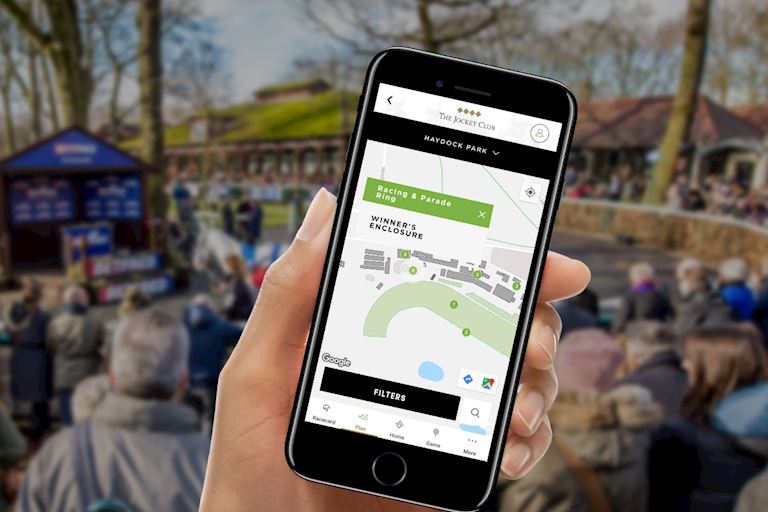 Interactive Map & More