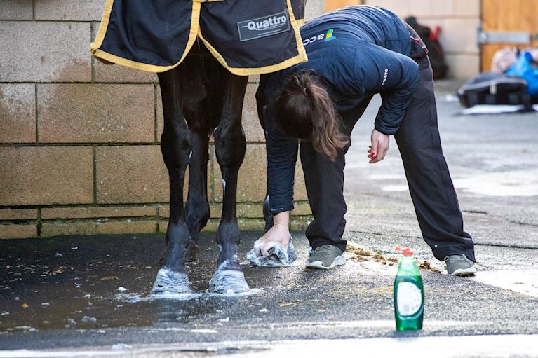 Cheltenham NYD 23-300.jpg