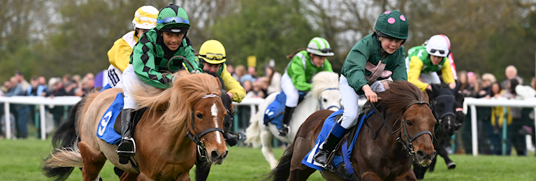 Win the chance to choose the Best Shetland Pony