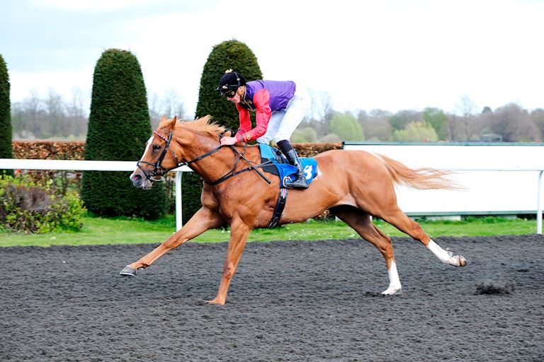 PEN WRITES PERFECT SCRIPT TO SET UP POTENTIAL CLASSIC TILT IN QIPCO 2000 GUINEAS ON CORONATION DAY