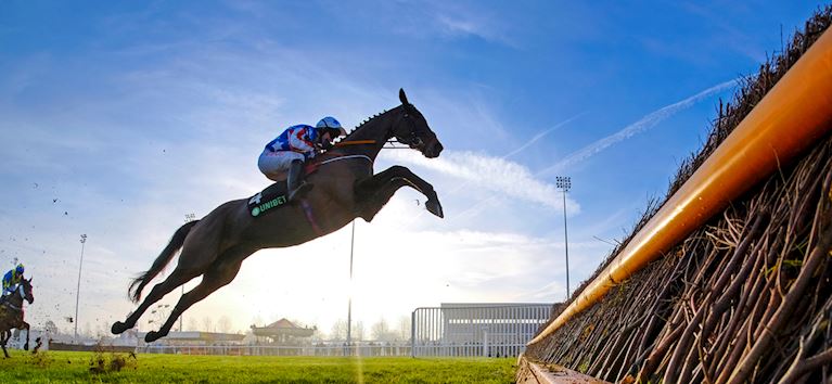 Kempton day 2 horse jump 18.jpg