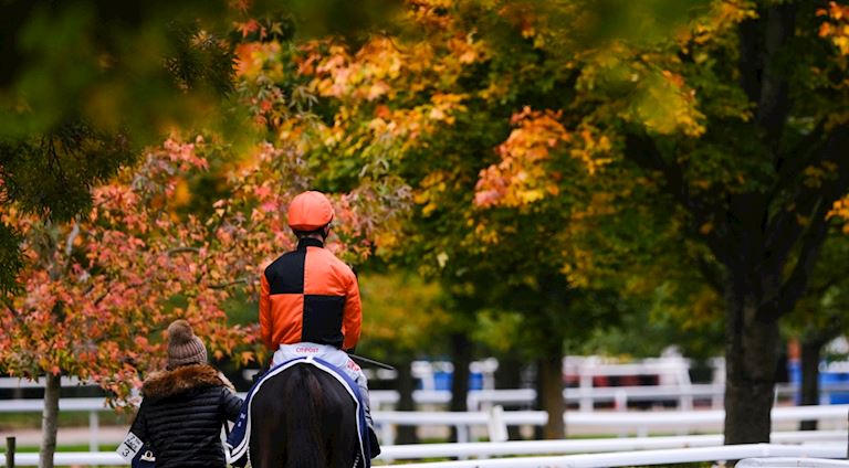 The Jockey Club today announces that Kempton Park’s opening Jumps fixture of the season, scheduled f