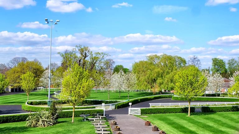 Kempton Clubhouse Lawns (1).jpg
