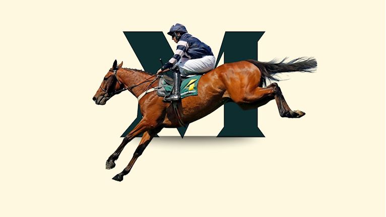 County Raceday