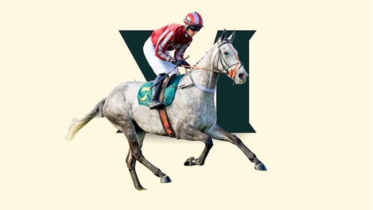 Irish Thoroughbred Marketing County Raceday