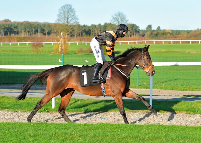 Course specialist Ballyhome taking aim at Summer Plate trial