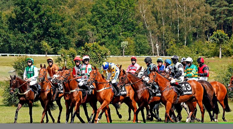 Leading trainers assess their chances ahead of thrilling Betway Summer Plate Day 