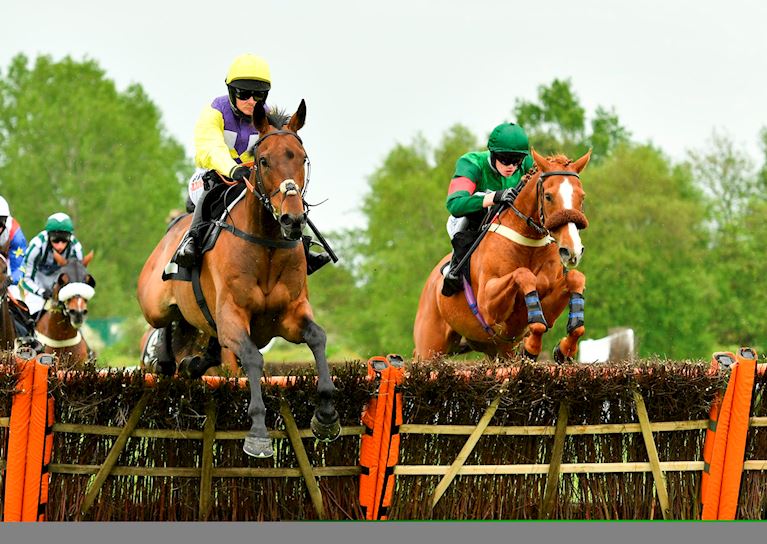 Amy Murphy admits "there wouldn't be a dry eye in the house" if yard favourite Mercian Prince wins B