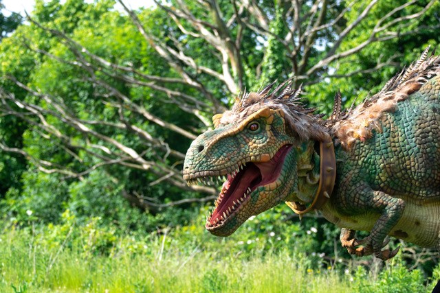 The Lindsey Lodge Hospice Dinosaur Day